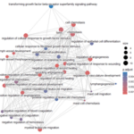 Signaling_Pathway_Hypoxia